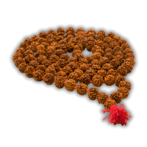5 Mukhi Rudraksha Mala – 108+1 Beads