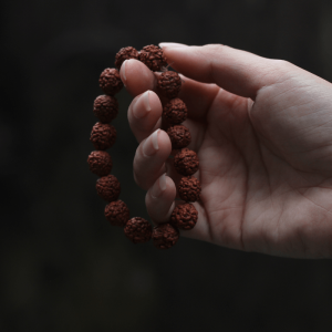 6 Mukhi Rudraksha mala