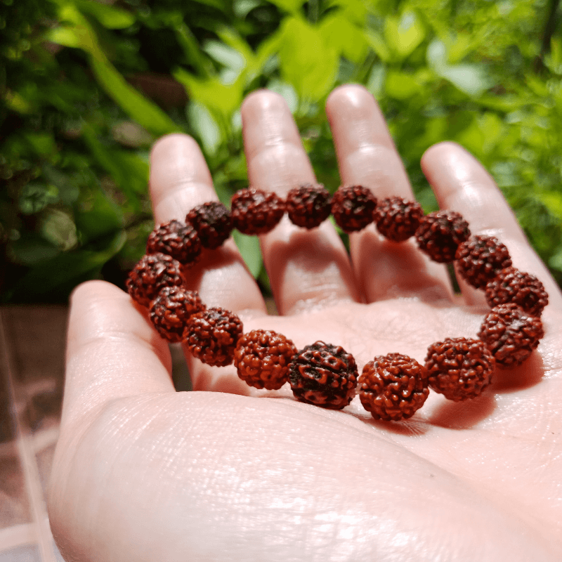 7 Mukhi Rudraksha Bracelet