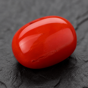 Moonga (Red Coral)