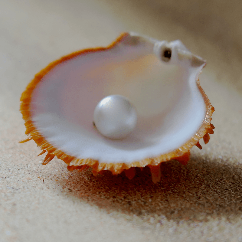 Moti (Pearl)